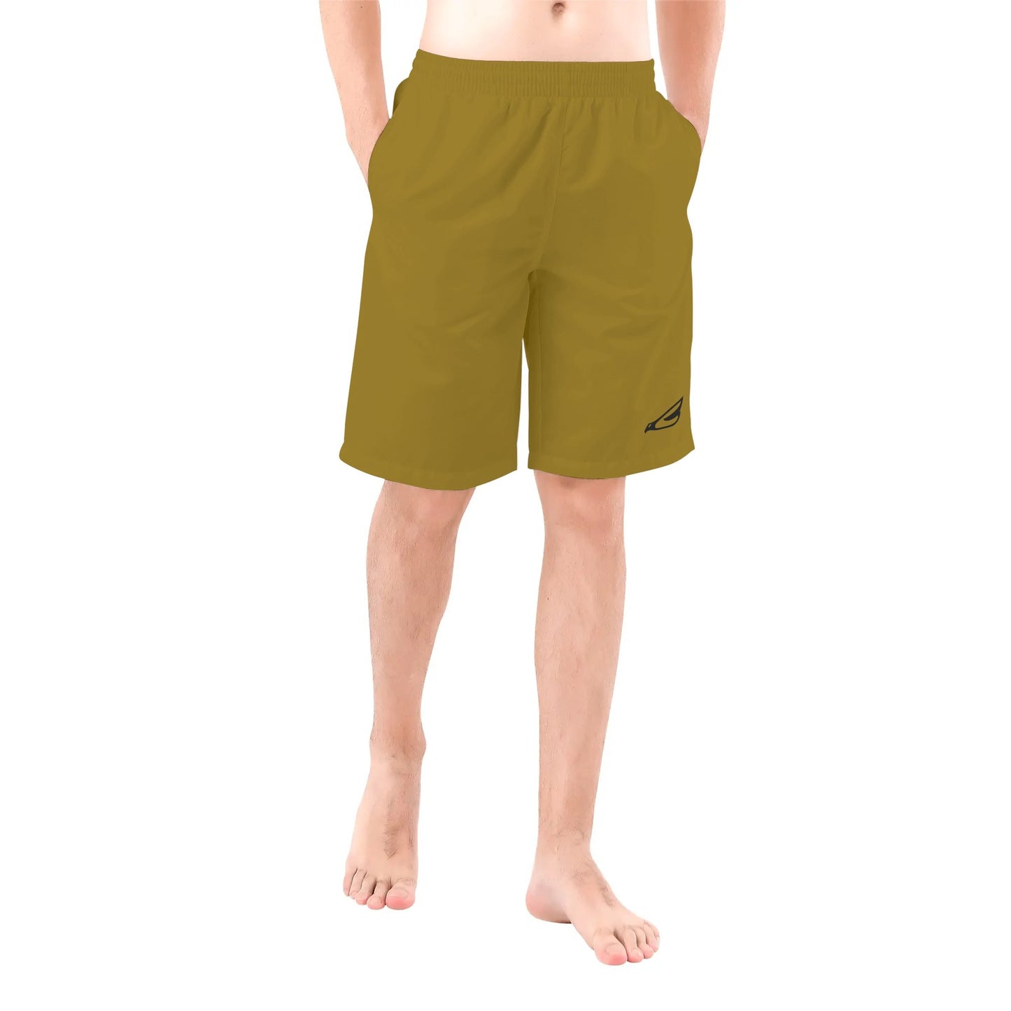 Swing Artist Board Shorts, Brown