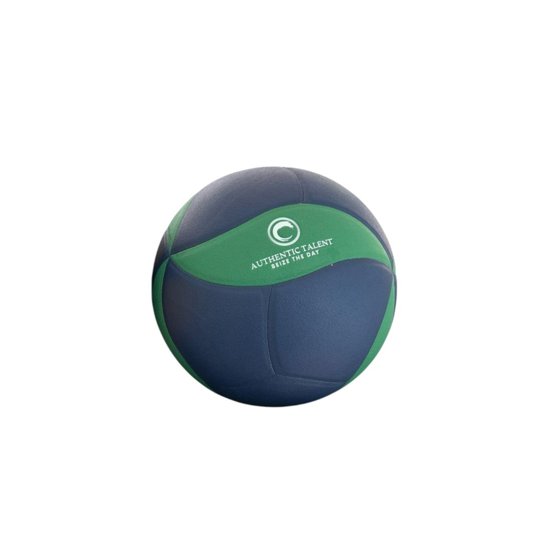 Swing-Artist Customized colors, logo/ name volleyball (50 volleyballs per pack)