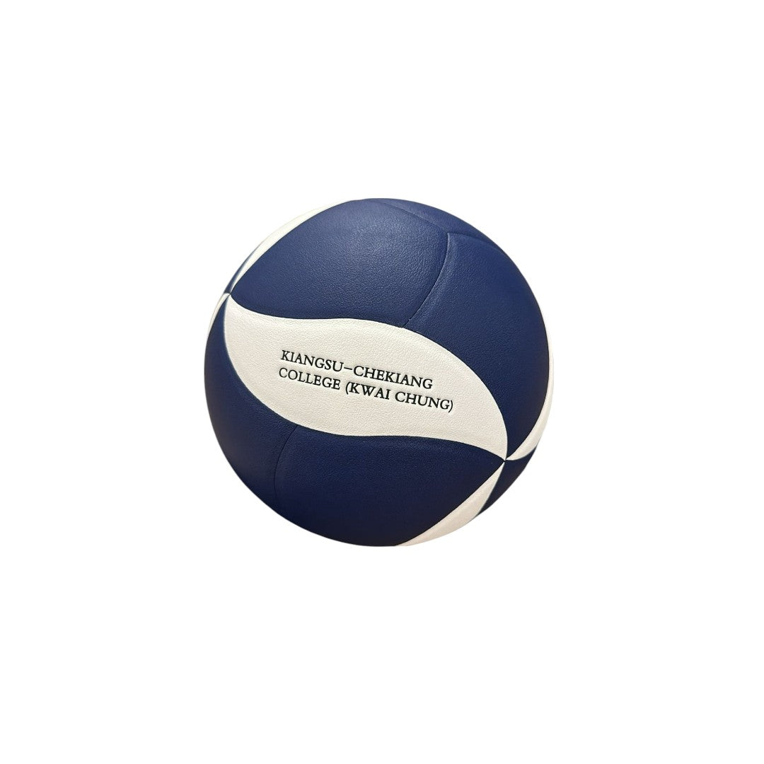 Swing-Artist Customized colors, logo/ name volleyball (50 volleyballs per pack)